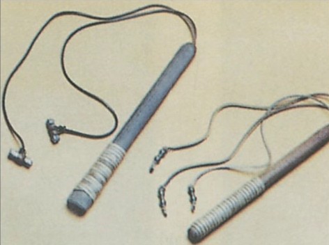 The "fragrum" or "flagellum taxillatum" used by Romans